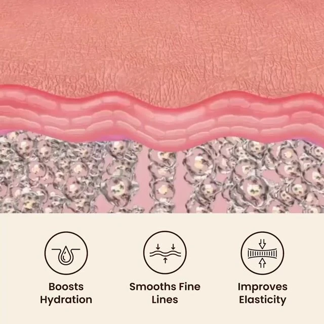 GloraMD image